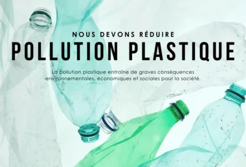 P_plastique FR